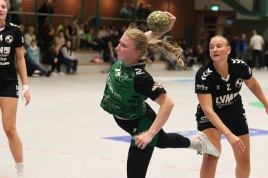 IMG 0379.thcr.380x253